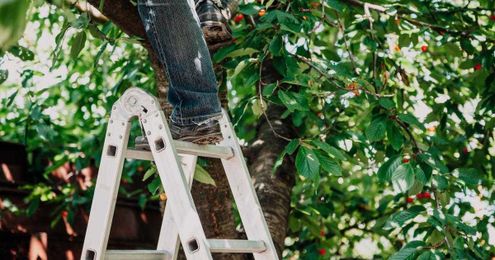 The high-hanging fruit is reachable. The question is how soon?