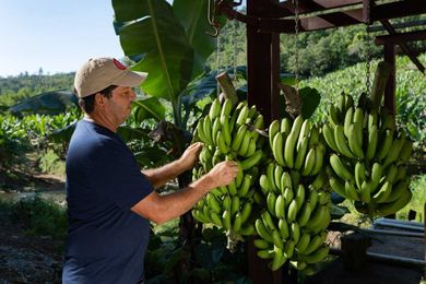 This Puerto Rican Farm-to-Fork App Is Creating Sustainable Food Systems