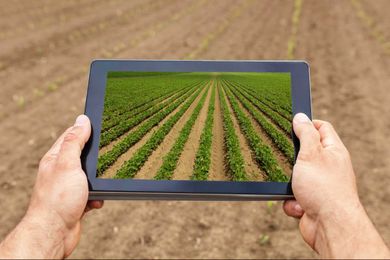 What is agrotech and why will it help eliminate world hunger?