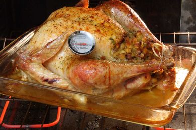 What you need to know before cooking the perfect turkey this Thanksgiving