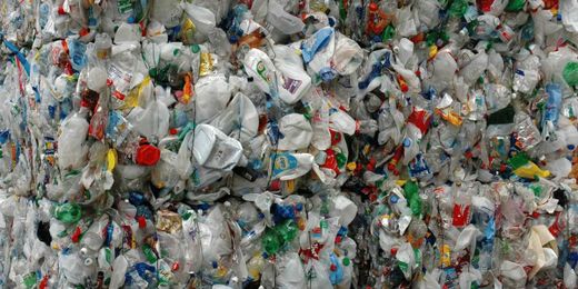 EGLE Teaches About Effective Recycling