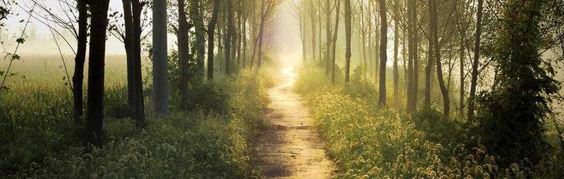 7 Practical Reasons Every Christian Should Be a Biblical Creation