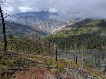 How Do You Deliver Mail to Hells Canyon? It Starts With a Boat.
