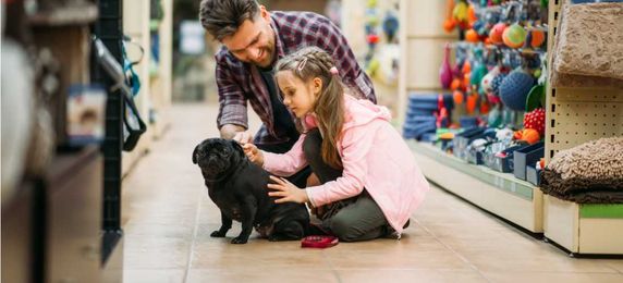 Pet Expenses: Can You Afford a Pet?