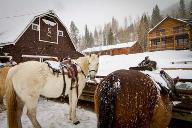 Winter Horseback Riding: What You Need To Know