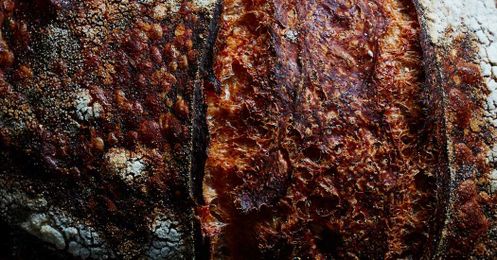 How to Make Really Good Bread