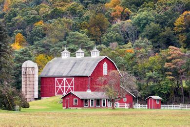 Why Are Barns Painted Red?