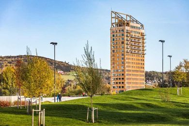4 experts on why sustainable mass timber is the green future of building