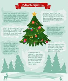 🎄How to pick the perfect tree🎄