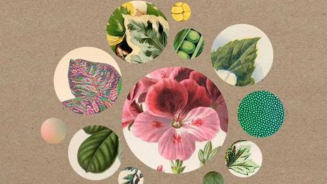 Creating a Better Leaf