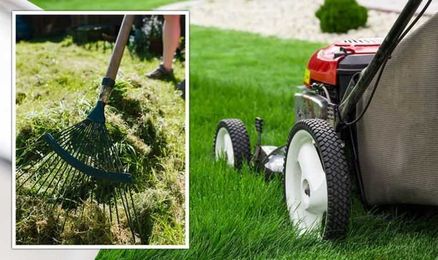 ‘Leave the mowing’: When to stop cutting the lawn for winter