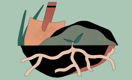 What is healthy soil and how to improve it
