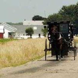 MY AMISH HOME: Doesn't everyone like maple-nut goodies?