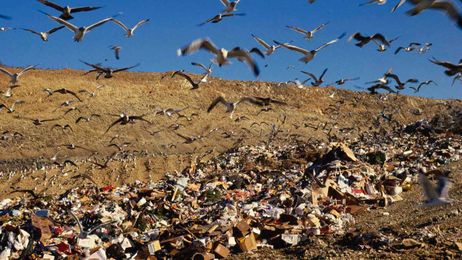 Landfills Belch Climate-Warming Methane. Even the EPA Doesn't Know How Much.