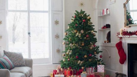 If Your Christmas Tree Is Here, You Might Wanna Move It