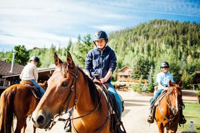 Horse Riding Terms for Beginners