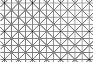 There are 12 black dots in this optical illusion