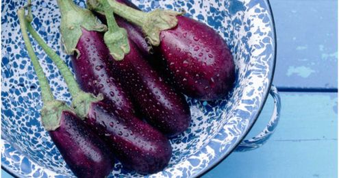 Don't Freak Out, But Your Eggplant Is Probably Poisoning You
