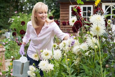 The Expert Secret to Save Hundreds on Gardening: Bare Root Plants