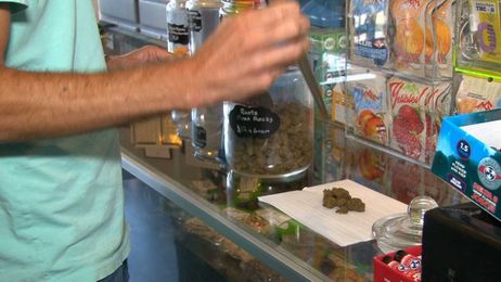 What's the difference between CBD, hemp and Delta-8?