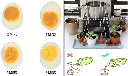 Useful tips shared in viral thread