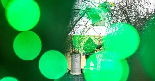 Down come the decorations