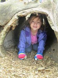 Don’t Hibernate! Good Parenting with Dr. Debbie