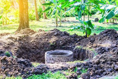 How Cold Temperatures Harm Septic Bacteria
