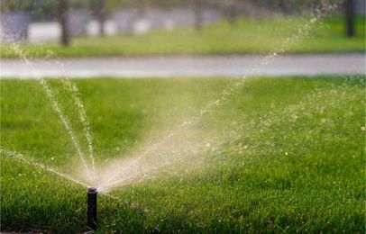 What You Need to Know About Sprinkler Repair