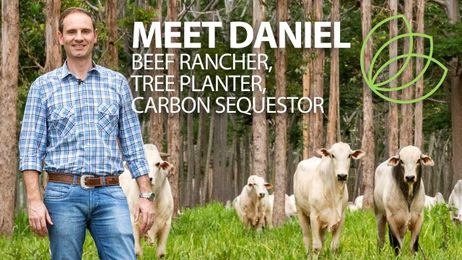 How raising beef cattle and trees together can help the planet