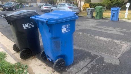 Eco-tip: More curbside advice on recycling organics