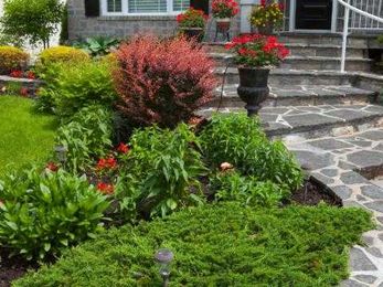 Give Your House Curb Appeal with These Four Front Garden Landscaping Tips
