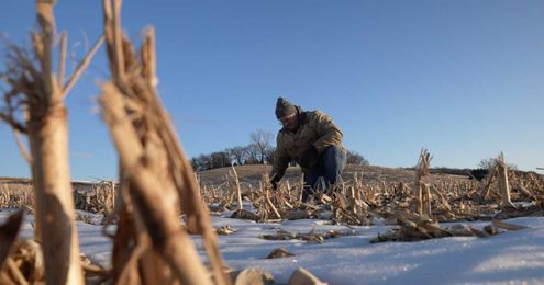 Revolutionary fertilizer helps farmers save time, money, environment