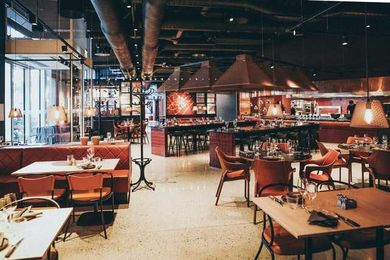 Removing Rodents from Your Restaurant