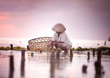 A closer look at what happens on seafood farms