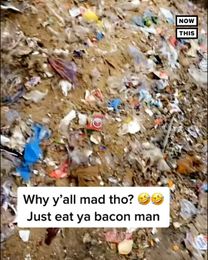 TikToker Shows How Plastics Get Into Pig Feed