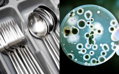 Viral video shows just how much bacteria can be found on restaurant cutlery
