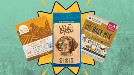 Keep Your Pup Healthy With These Environmentally Friendly Dog Food Brands