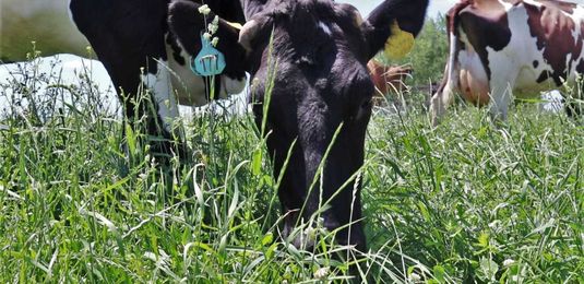 U.S. farmers improving climate-friendly practices, but 'more work to do'