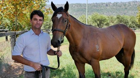 The next Winx or a picnic racer? How to pick and train racing royalty