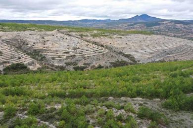 Indigenous communities transform a Mexican desert landscape into forest