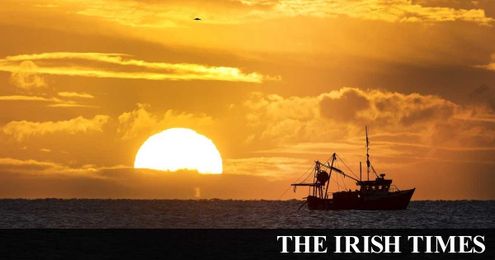 The science of buying sustainable fish