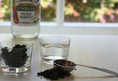 The Garden Decoder: Should You Get a 'Soil Test'?