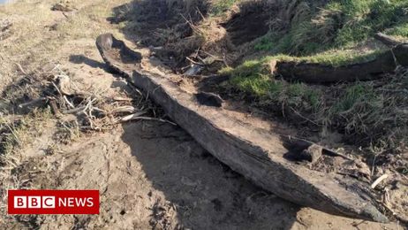 The medieval-era boats hiding in the River Foyle