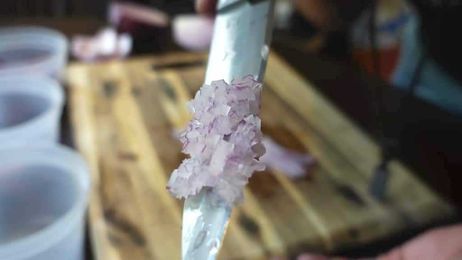 How to Cut Onions Like a Michelin Star Chef