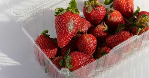 Will One Moldy Berry Ruin the Rest?