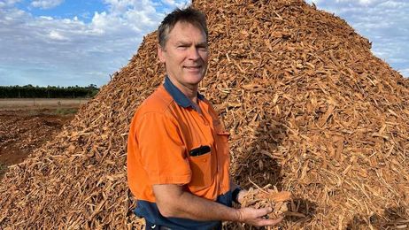 Mulch rather than burn: Almond industry trial has a carbon benefit