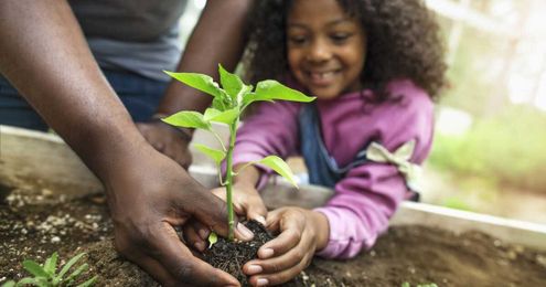 Grounding in the Garden: How Planting Seeds Promotes Healing