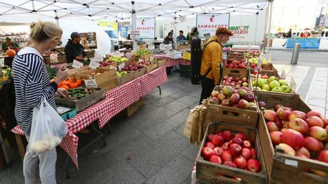 Greenmarkets In Lower Manhattan: Hours, Items, All You Need to Know