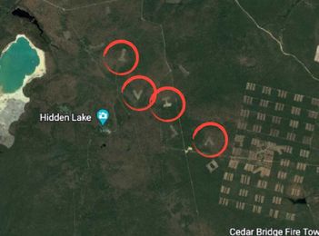 Why are There Huge Letters in the Pine Barrens?